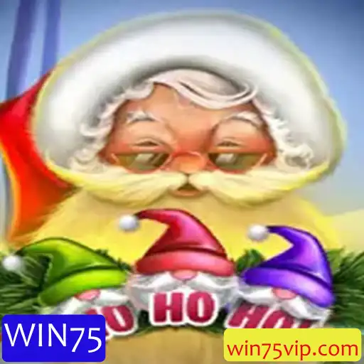 Descubra o Universo Envolvente de HoHoHo